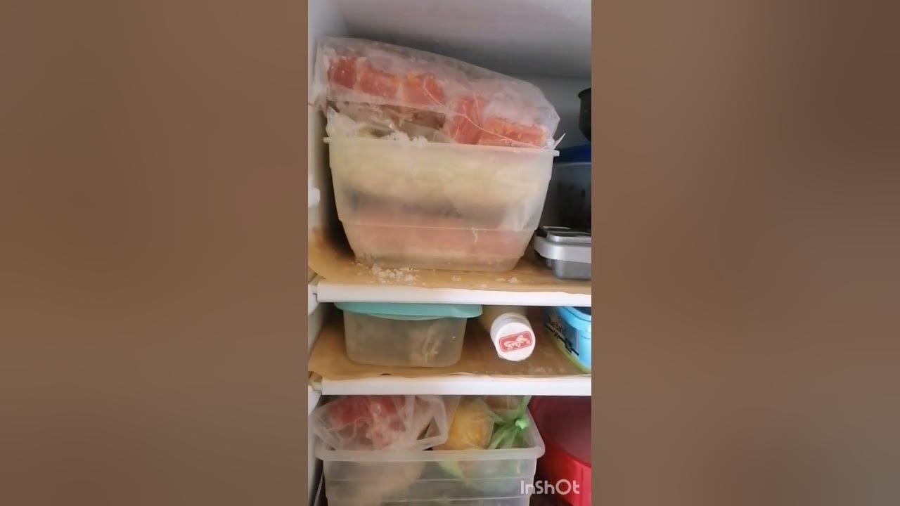 freezer-ki-safai-youtube