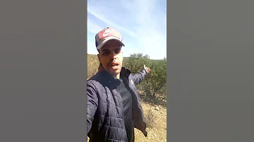 أكبر غابة في أفريقيا بي المغرب YearofYou 