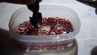 ナカジマ 赤虫セッター 使ってみた。