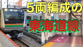 【5両編成】JR東日本東海道線の迷列車？に乗車　平塚→熱海