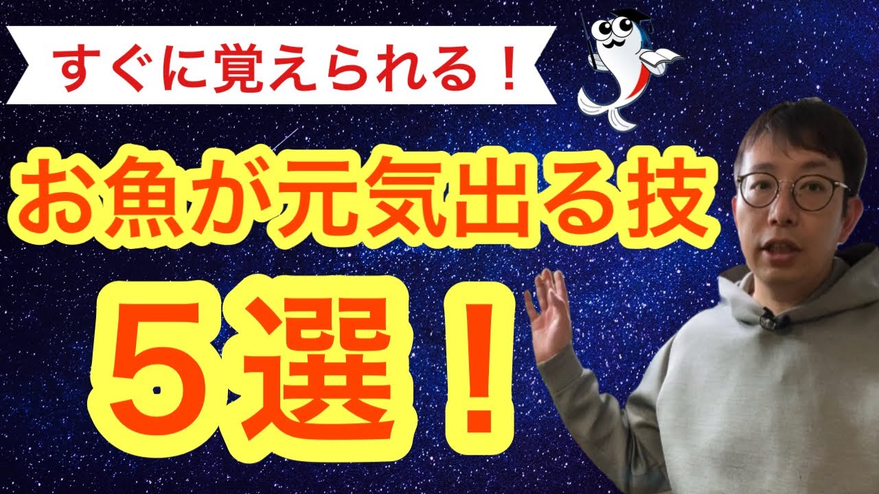 爆速解決 熱帯魚や金魚がジッとして動かない 究極の対処5選 Youtube