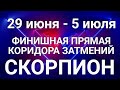 СКОРПИОН♏❤. Таро-прогноз 29 июня-5 июля. Гороскоп Скорпион/Horoscope Scorpiо JULY✨©Ирина Захарченко.