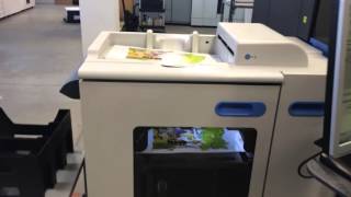HP Indigo 5500 Digital Press For Sale