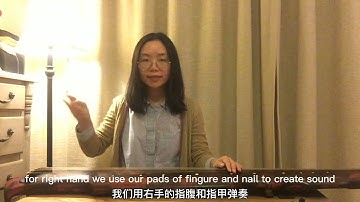 An Introduction of Chinese Traditional Instrument - Guqin古琴还是古筝？还在傻傻分不清？