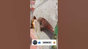 CS2 INFERNO B SITE "NEWBOX" MOLLY #shorts #short #cs2 #oyun #games