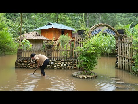 Huong's Daily Routine: Harvesting Jicama to Sell at the Market 