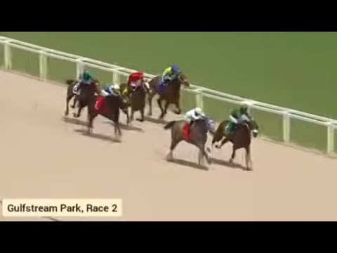 Video Gulfstream Park Racing Highlights | April 2, 2026 Full Replays & Results