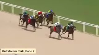 Gulfstream Park Racing Highlights | April 2, 2026 Full Replays & Results
