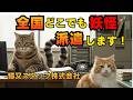 【山岳救助編】全国どこでも”妖怪”派遣します！猫又スタッフ株式会社🐾