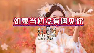 铃小花 《如果当初没有遇见你》 KTV 导唱字幕 （备有伴奏视频）