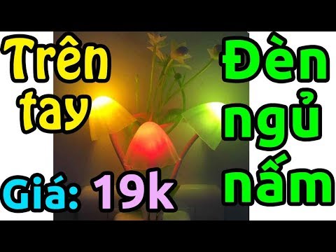 Trên tay đèn ngủ cảm ứng nấm ánh sáng giá 19k | Foci