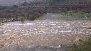 Río Quilimarí