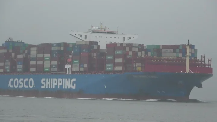 Giant Container Ships in Dense Fog | Cuxhaven Ship Spotting