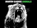 Martin Garix - Animals