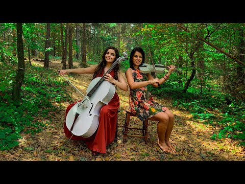 Видео: Какво е концертният цигулар?
