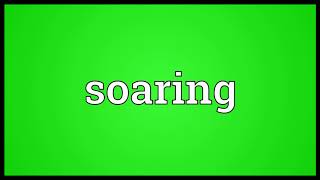 Soaring Meaning | Wordogram