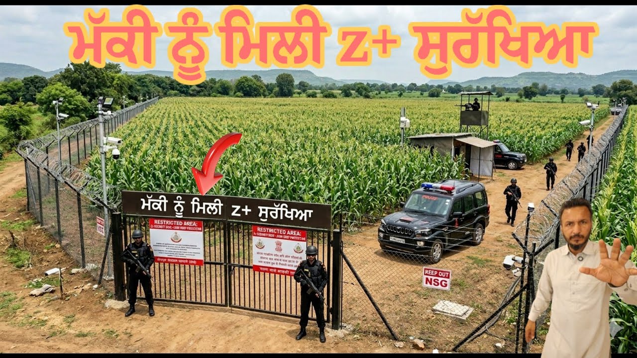 ਮੱਕੀ ਨੂੰ ਮਿਲੀ z+ ਸਕਉਰਟੀ,, ਆਹੀ ਕੰਮ ਕਰਨਾ ਪਊ ਜੇ ਆਲੂਆਂ ਦਾ ਘਾਟਾ ਪੂਰਾ ਕਰਨਾ 