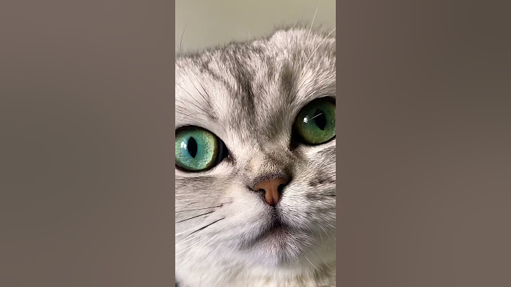 Kedi gözü