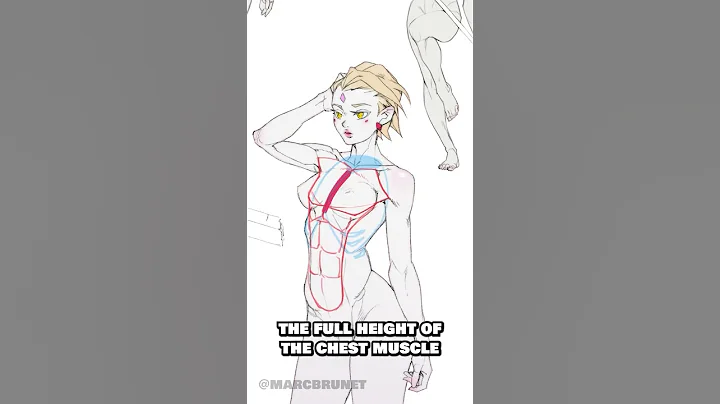 STOP drawing breasts the wrong way