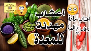 أعشاب مهدئة للمعدة – أعشاب لراحة وعلاج المعدة