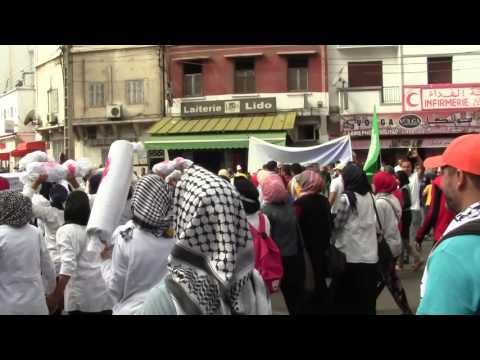 من مسيرة الدار البيضاء حيوا فلسطين