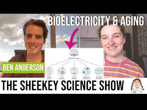 Bioelectricity as an longevity intervention - Benjamin Anderson