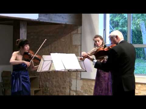 Dvorak Terzetto Op 74 for 2 Violins & Viola