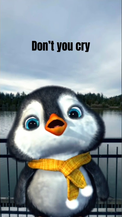 Do not cry 🥺 #hushlittlebaby #dontcry #byyourside #hug #puffpuff #socute #adorable #babypenguin