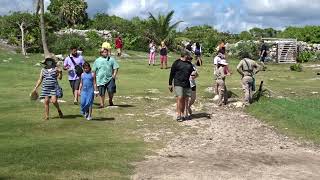 MEXICO: TULUM: MAYA RUINS WALK AROUND by Cliff McLane 14 views 2 years ago 6 minutes, 35 seconds