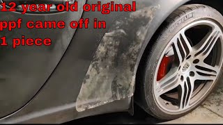 Do Not Attempt To Remove 12 Year Old Paint Protection Film Before This | 3 Month MIA Life Update
