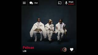 L2B - Pélican ( Version Skyrock )
