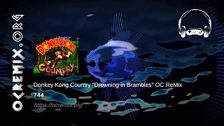 Donkey Kong Country OC ReMix by 744: "Drowning in Brambles" [Aquatic, Stickerbush] (#3966) chords