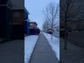 Snow-kissed streets of Calgary, where nature whispers its beauty 🌬️✨ #snow #snowfall  🇨🇦 🍁