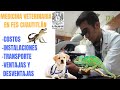 FES Cuautitlán Medicina Veterinaria y Zootecnia// Experiencias, Costos, Como llegar.