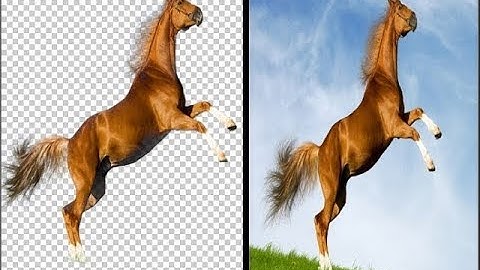 تطبيق قص الصور باحترافية لهواتف الاندرويد 2017 best   android application for cut photos