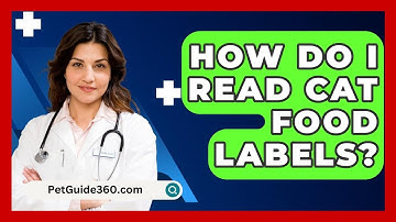 How Do I Read Cat Food Labels? - PetGuide360.com