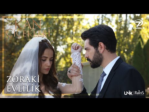 Baran ve Dilan'ın Zoraki Evliliği