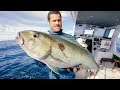 Spearfishing Tips For Hunting MONSTER JOBFISH Catch And Cook | Bird Rescue | GOPRO x YBS - Ep 72