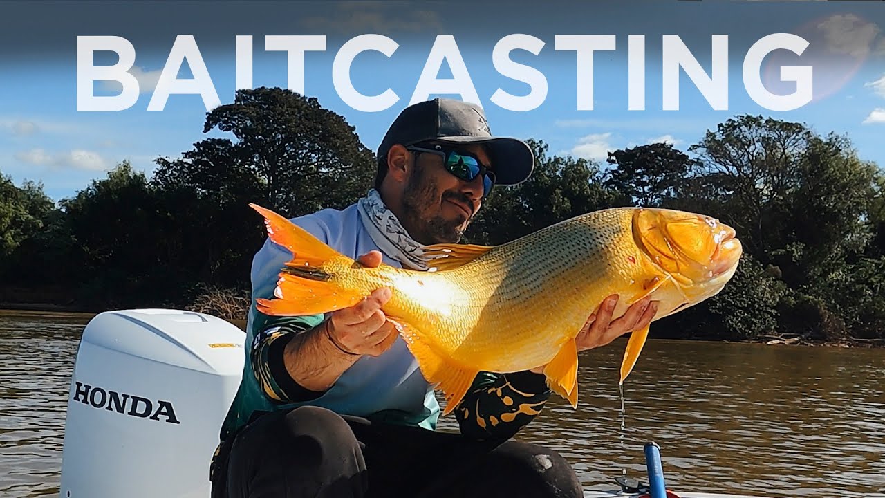 Dia de pesca de dorados con señuelos, Piques en vivo!