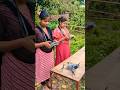 DJI Mini 5 Pro Drone Takeoff || DJI Mini 5 Pro #djidrone #shorts #dji #drone #djimini5pro