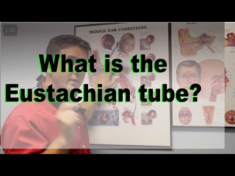 Eustachian Tube explained