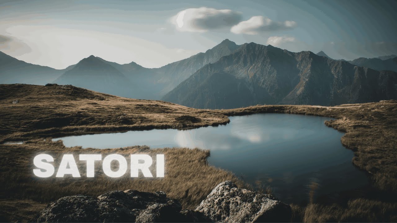 Satori / BRAIN DETOX (Morphic Field)