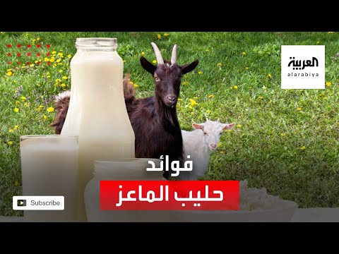 فيديو: لماذا ولماذا ينشئ الناس أسرة: الاحتياجات والعلاقات