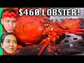 $25 Vietnam Capsule Hotel - YouTube