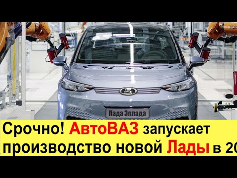 Video: Lada Bulgaria Manis Dan Sihat. Penanaman, Penjagaan Dan Pembiakan, Varieti. Foto