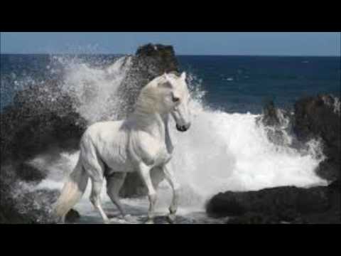 سبحان الله دعاء رائع للشيخ إدريس أبكر