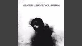 Never Leave You Again