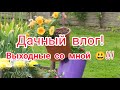 Дачный влог! 🤗Выходные со мной! 😘