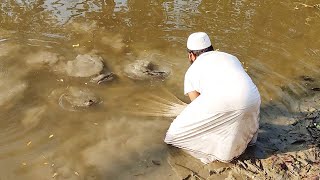 Amazing Net Fishing Video - Fish Catching With Cast Net in the Beautiful Pond