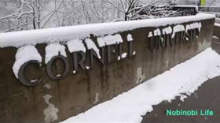 Snow in Cornell, Ithaca NY♪ アメリカの雪景色☆　[nobi#37]